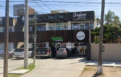 Aguacate Mapa