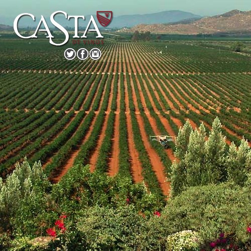 Ejemplo de Imagen Aqui