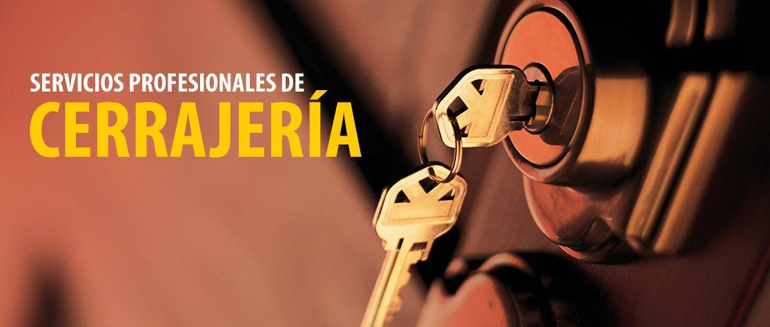 Ejemplo de Imagen Aqui