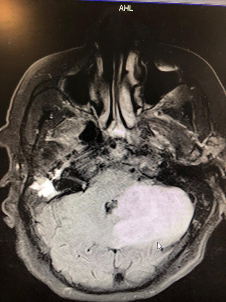 Ejemplo de Imagen Aqui