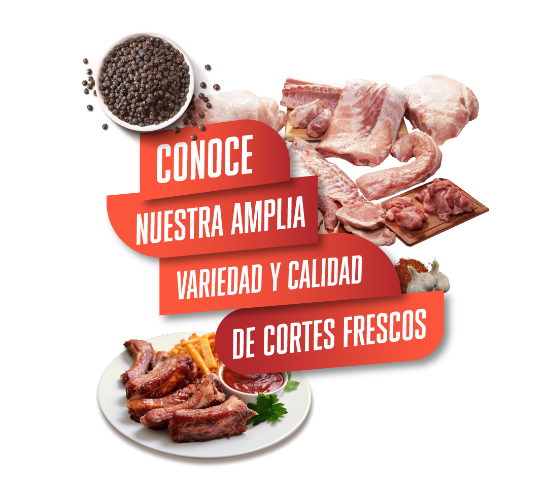 Ejemplo de Imagen Aqui