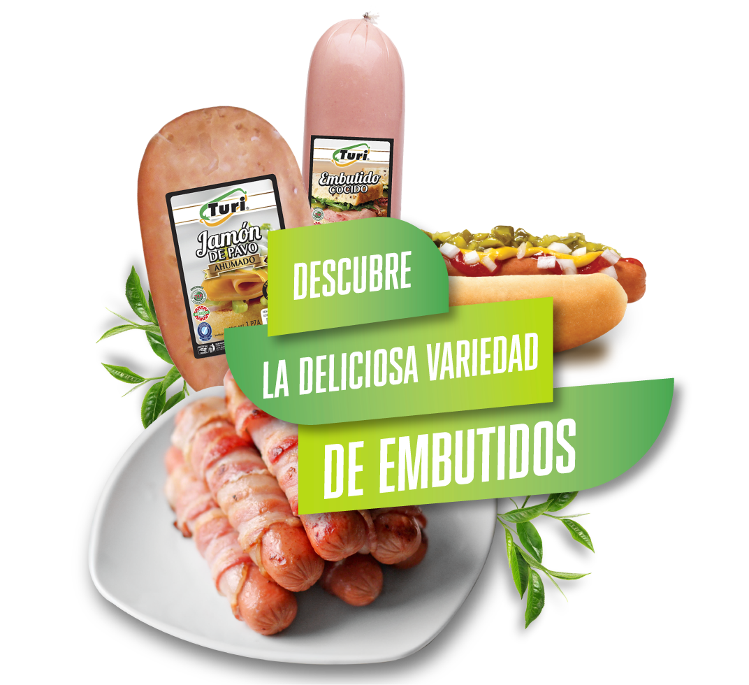 Ejemplo de Imagen Aqui