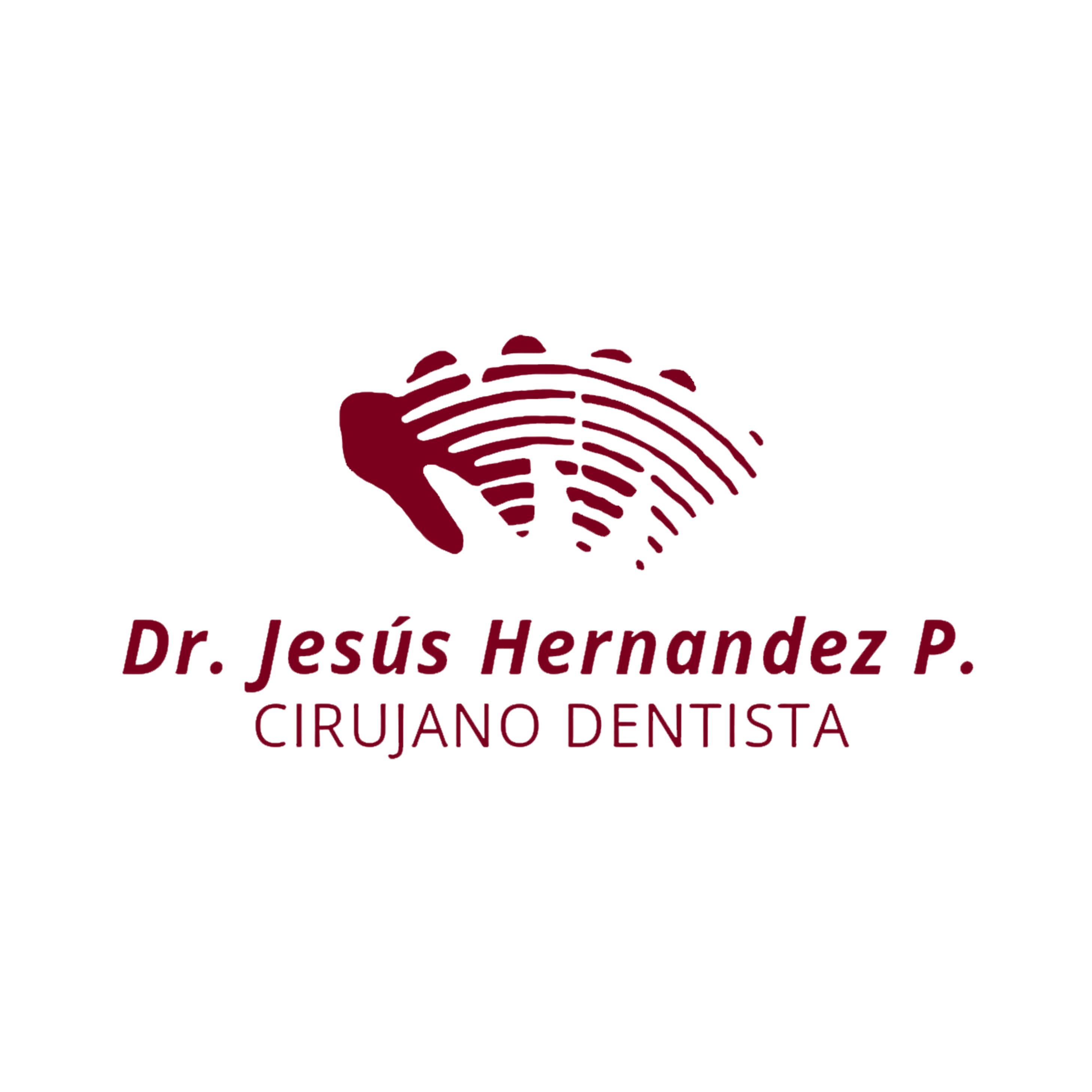 Conocenos