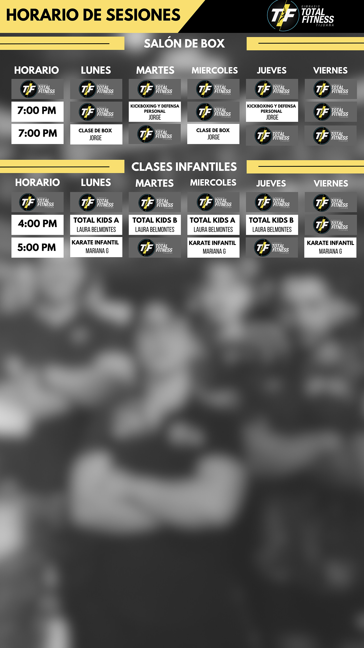 Ejemplo de Imagen Aqui